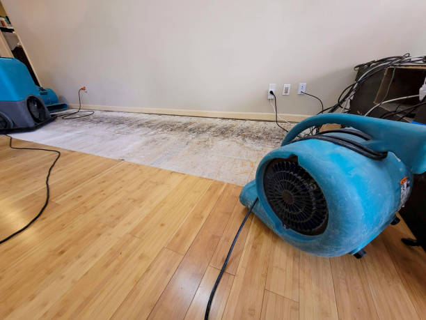 Reliable Basement Flood Cleanup contractor in Laura, OH by Hirex Water Damage