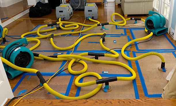 Professional Basement Flood Cleanup technician working in Laura, OH